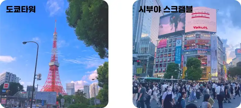 아고다 할인코드 사용 후기 아고다 할인코드 사용 후기