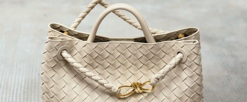 보테가베네타 가방 종류 ① 안디아모