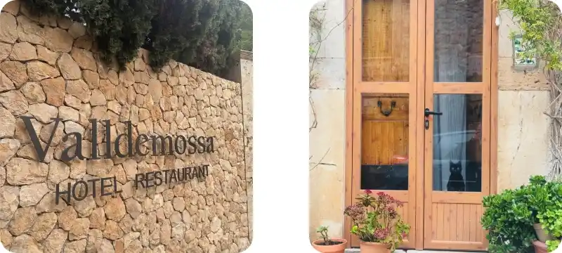 익스피디아 할인코드 사용 후기 익스피디아 할인코드 사용 후기