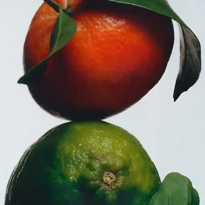 조말론 향수 추천 TOP5