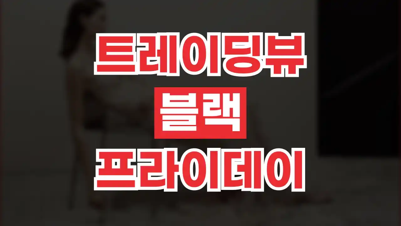 트레이딩뷰 블랙프라이데이 50% 할인